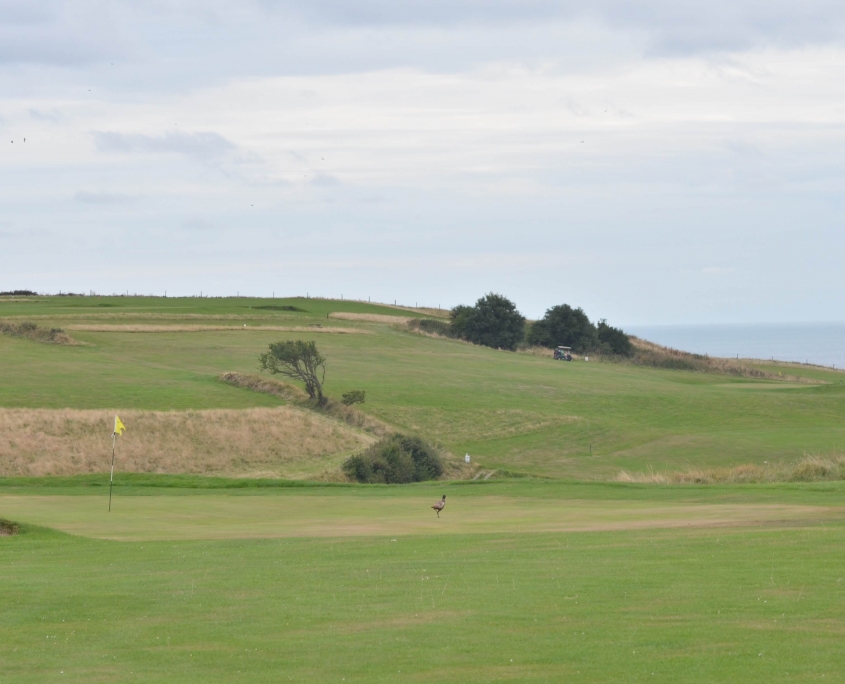 Axe Cliff Golf Course, Seaton Devon